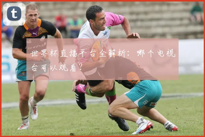 世界杯直播平台全解析:哪个电视台可以观看?