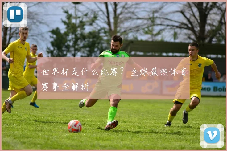 世界杯是什么比赛?全球最热体育赛事全解析