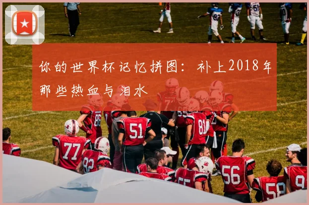 你的世界杯记忆拼图：补上2018年那些热血与泪水