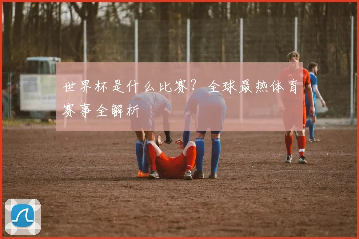 世界杯是什么比赛？全球最热体育赛事全解析