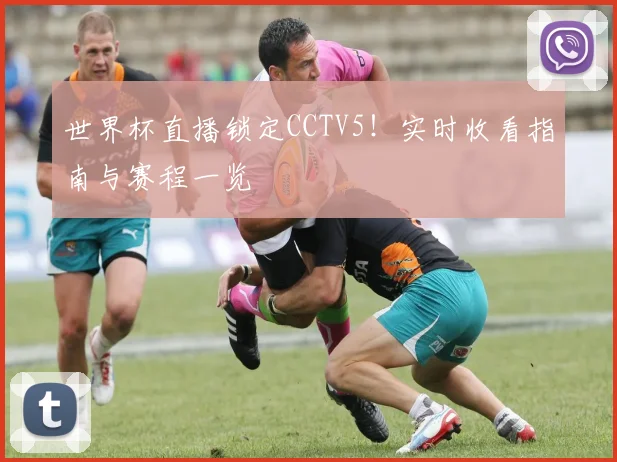 世界杯直播锁定CCTV5!实时收看指南与赛程一览