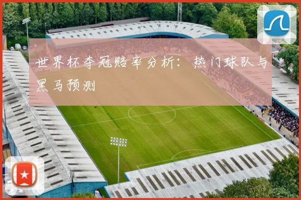 世界杯夺冠赔率分析：热门球队与黑马预测